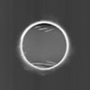 Meet your Posher, Eli